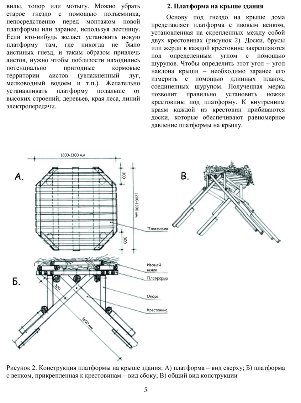 Рекомендации по установке искусственных гнездовий для белого аиста -  dribin.by